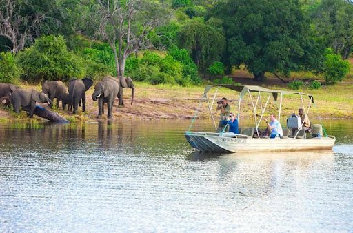 Chobe River, Botswana
