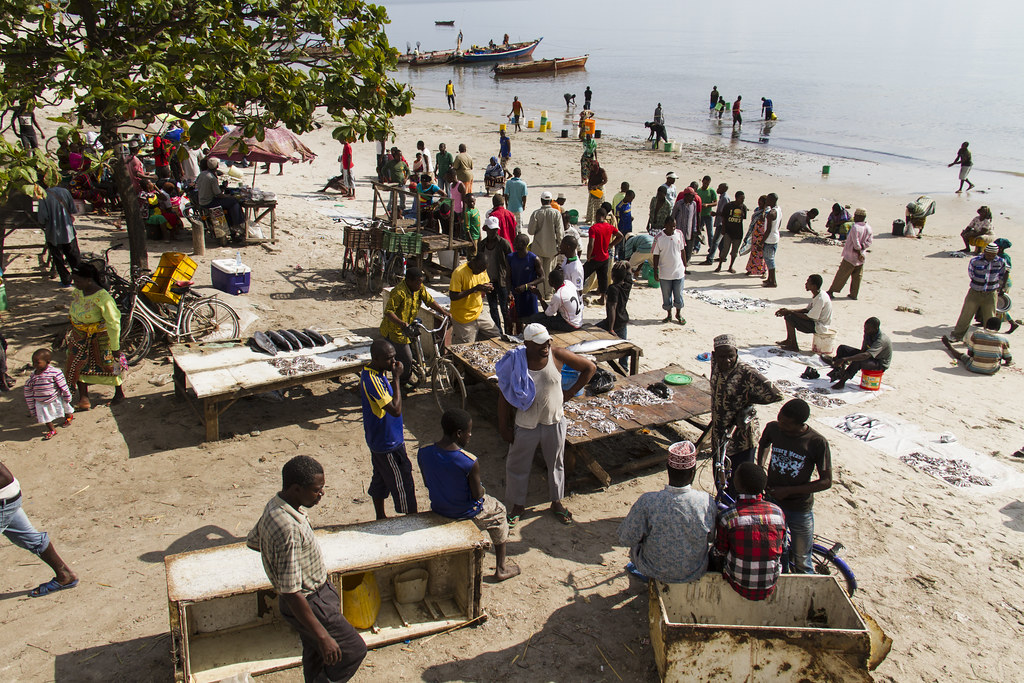 Bagamoyo fish market 3_3.jpg
