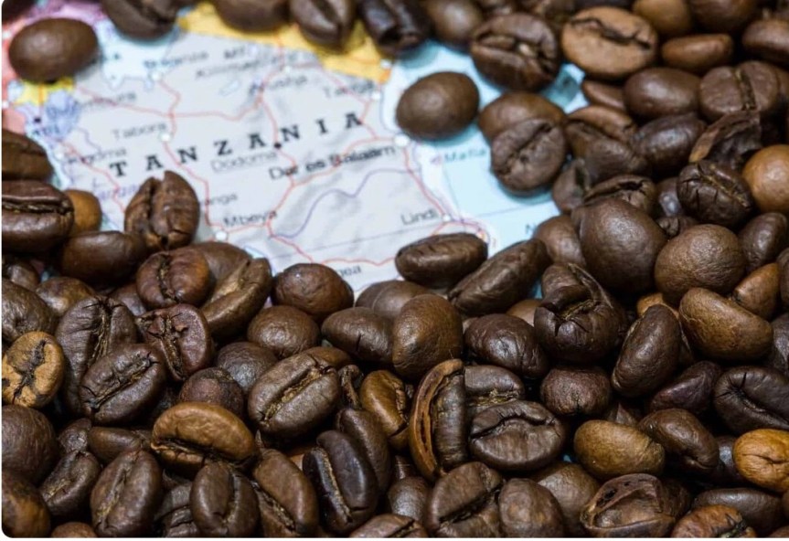 Coffee In Tanzania: From Bean To&nbsp;Cup